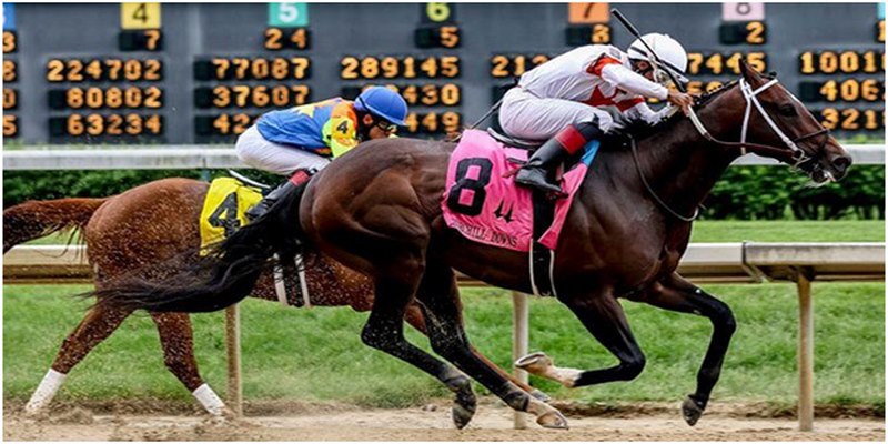 Chọn 2 chiến mã khi tham gia game nếu muốn tăng cơ hội may mắn khi đặt cược